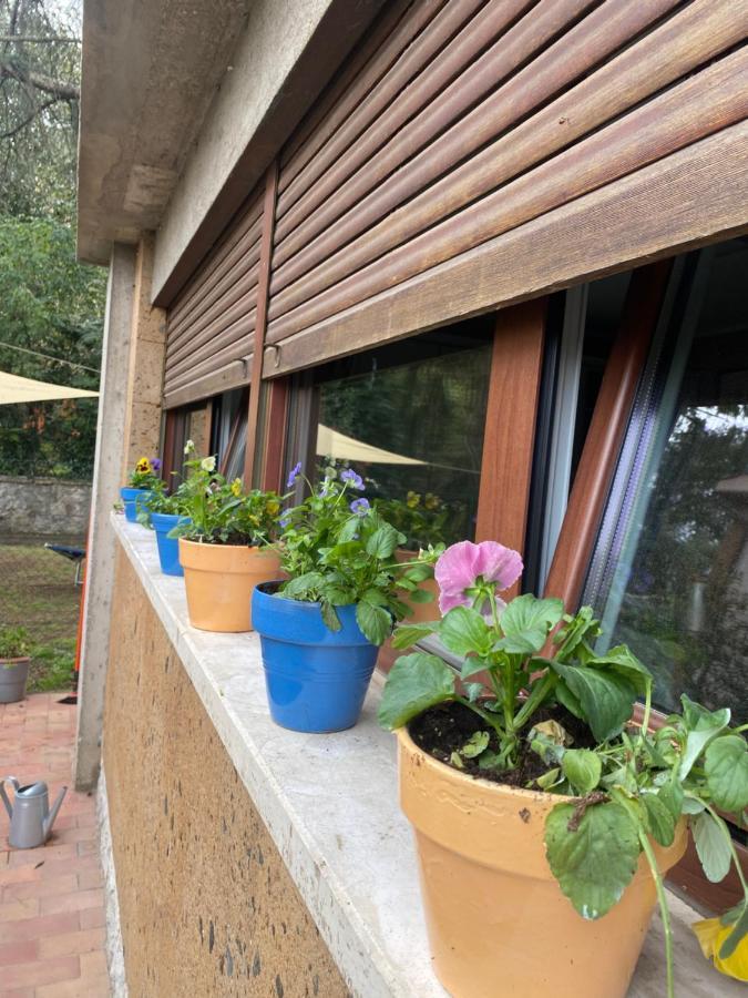 Apartamento Il Giardinetto Di Elelu' Private Garage Orvieto Exterior foto